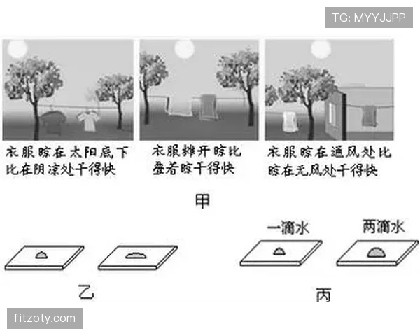 巴尔科拉的持续表现力与成长潜力：上限受制于哪些关键因素？
